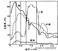 圖片3.png