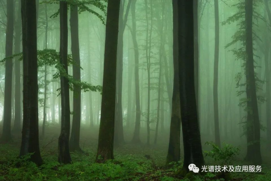  地物光譜在林業遙感中的應用 