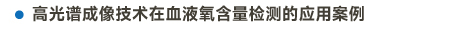 官方網站產品中心內頁標題2樣式編輯2-13.jpg
