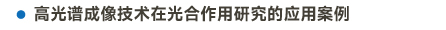 官方網站產品中心內頁標題2樣式編輯2-14.jpg