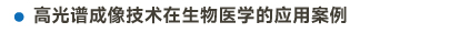 官方網站產品中心內頁標題2樣式編輯2-15.jpg