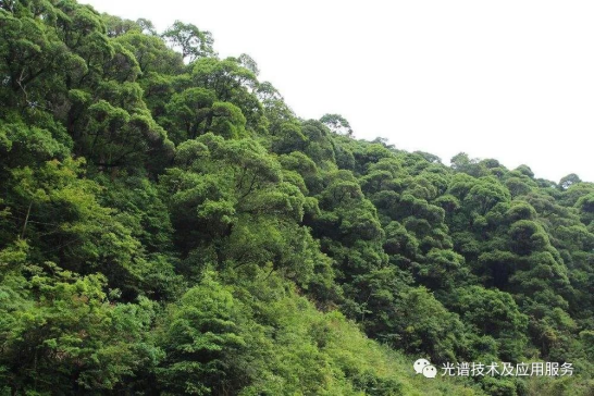 地物光譜儀的設計特點