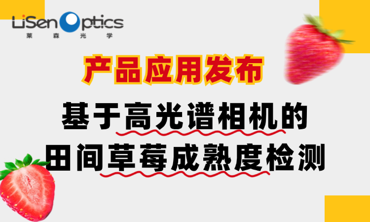 【產(chǎn)品應(yīng)用發(fā)布】基于高光譜相機(jī)的田間草莓成熟度檢測